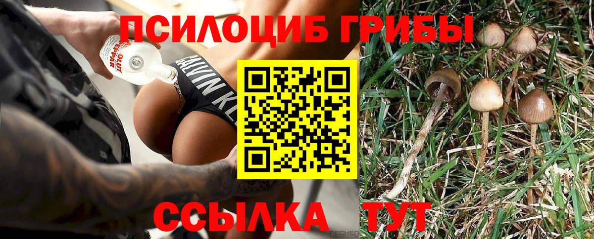 Псилоцибиновые грибы мицелий Нарьян-Мар