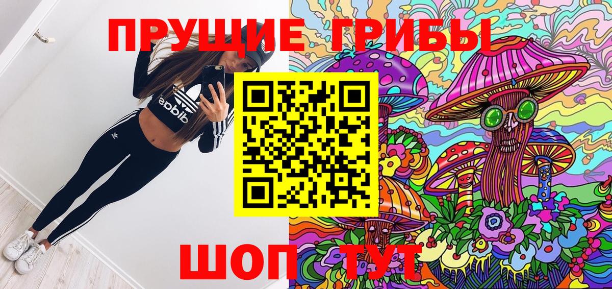 Псилоцибиновые грибы Psilocybine cubensis  Вход с VPN  Нарьян-Мар 